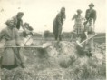 /album/fotogaleria-kupca/kupca-7-jpg/