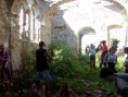 /album/fotogaleria-kupca/kup-opek4-jpg/
